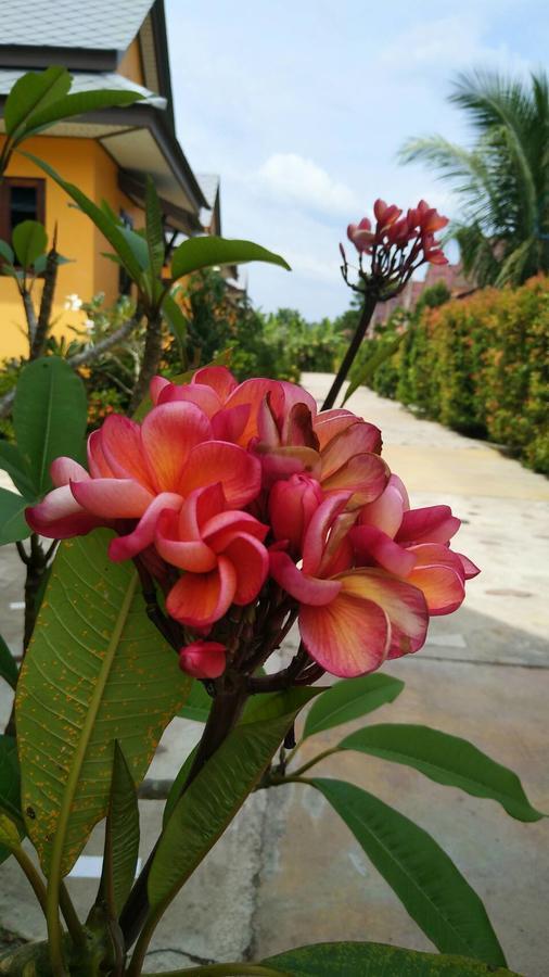 Baan Mek Lom Hotel Khao Lak Bagian luar foto